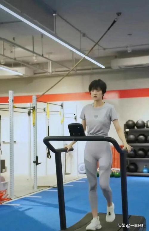 新瓜最新爆料长椅,长椅背后的惊人秘密，揭秘不为人知的真相